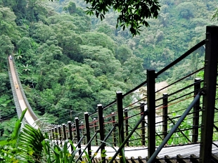 竹山天梯(梯子吊橋)