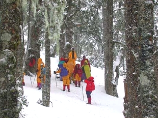 桃山部落(雪山坑)