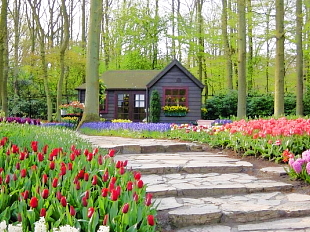 吉安鬱金香花園