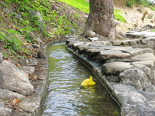 水往上流