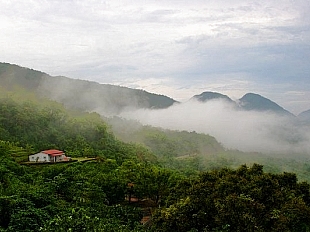 東河休閒農場