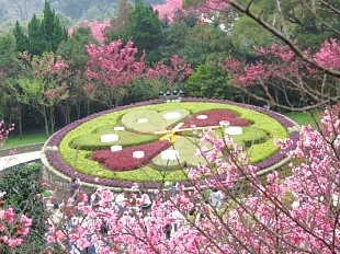 陽明山國家公園