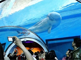 國立海洋生物博物館