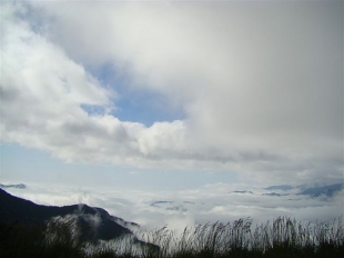 關山、埡口