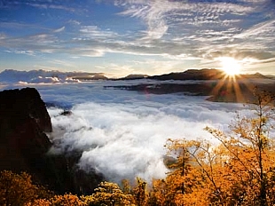 阿里山國家風景區