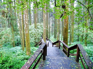 奮起湖風景區